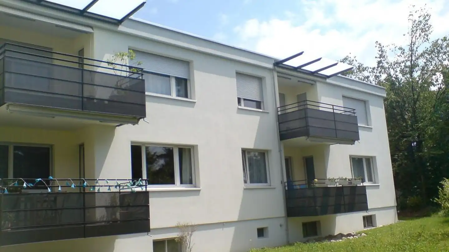 Wohnung mieten - Buchzelgstrasse 33, 8053 Zürich - Foto 2
