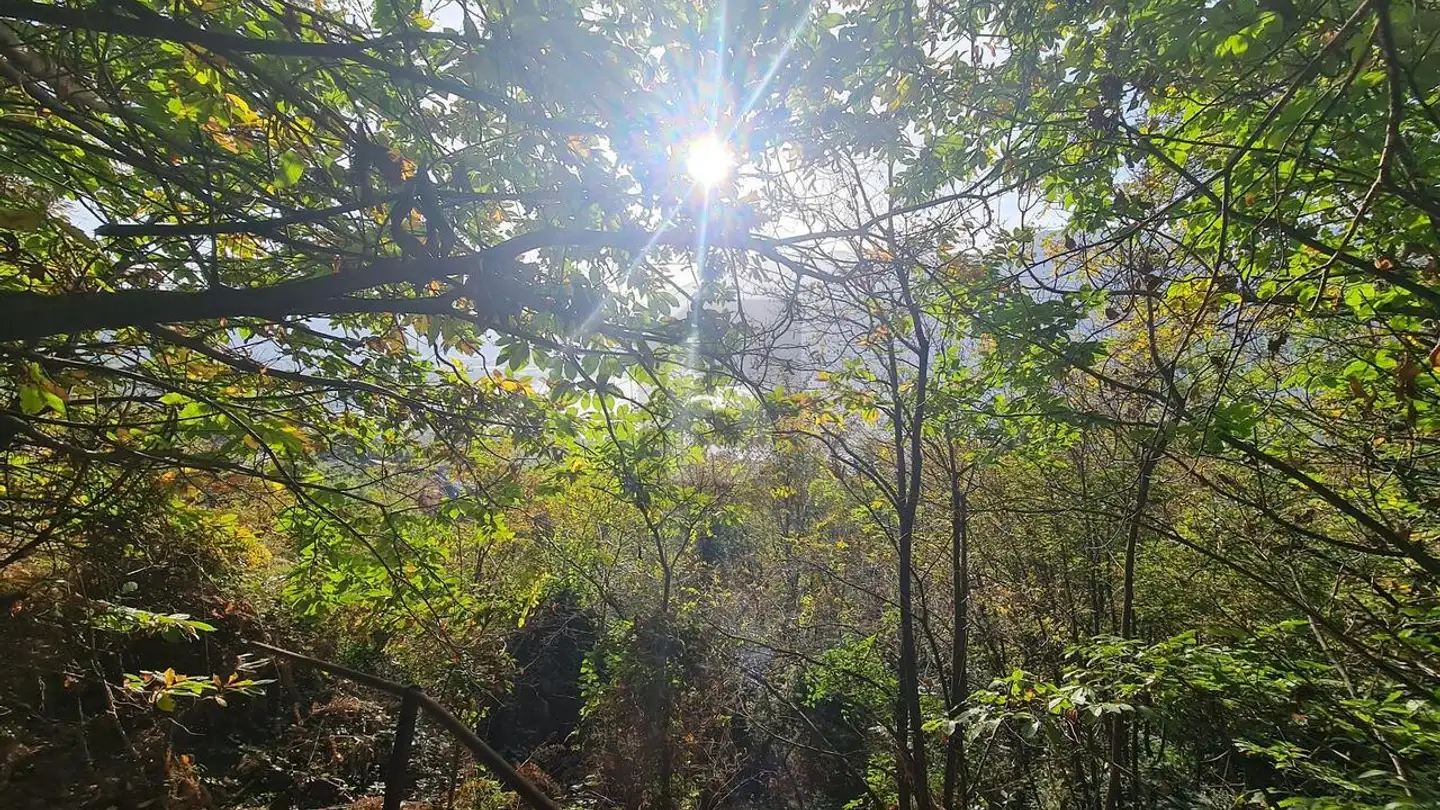 Terreno edificabile in vendita - 6644 Orselina - Photo 3