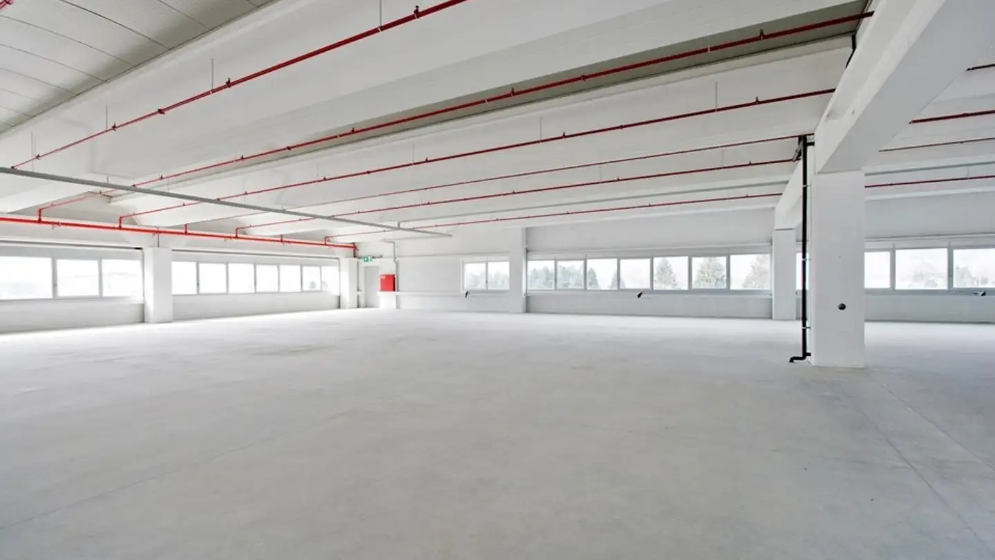 Proprietà industriale in affitto - Ai Cióss 11, 6593 Cadenazzo - Photo 2