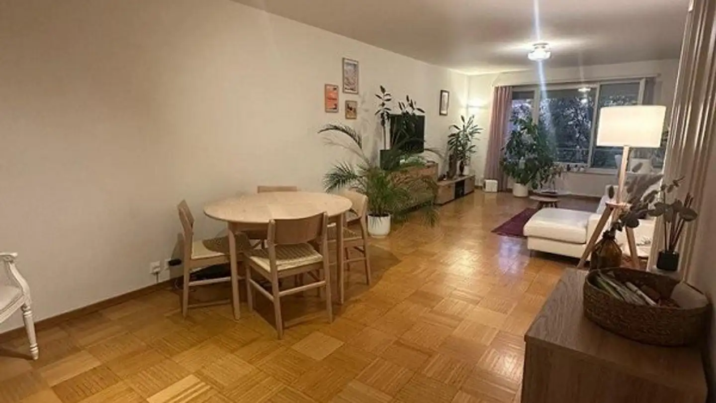 Apartment for rent - Dufourstrasse 117, 8008 Zürich - Photo 2