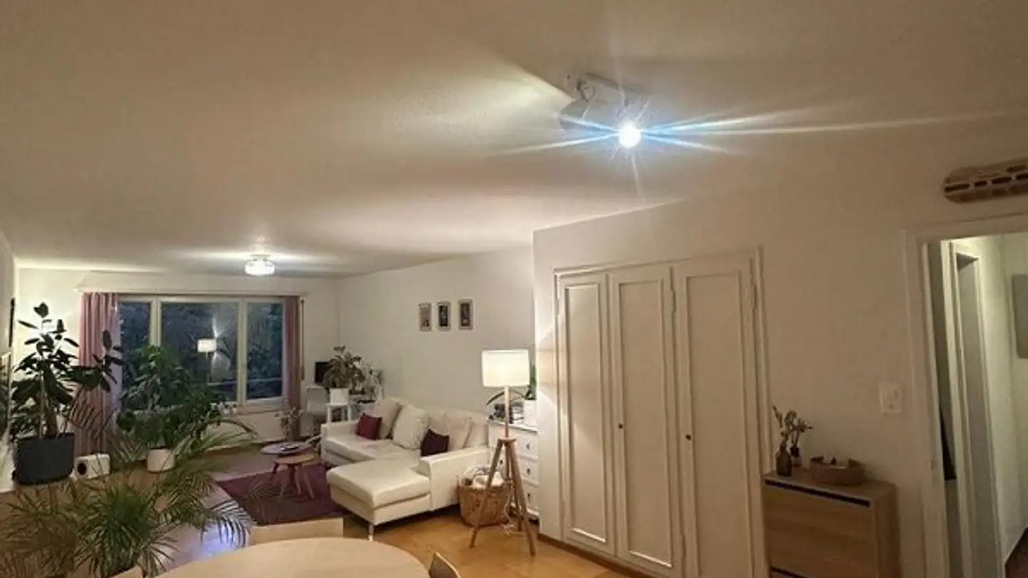 Apartment for rent - Dufourstrasse 117, 8008 Zürich - Photo 3