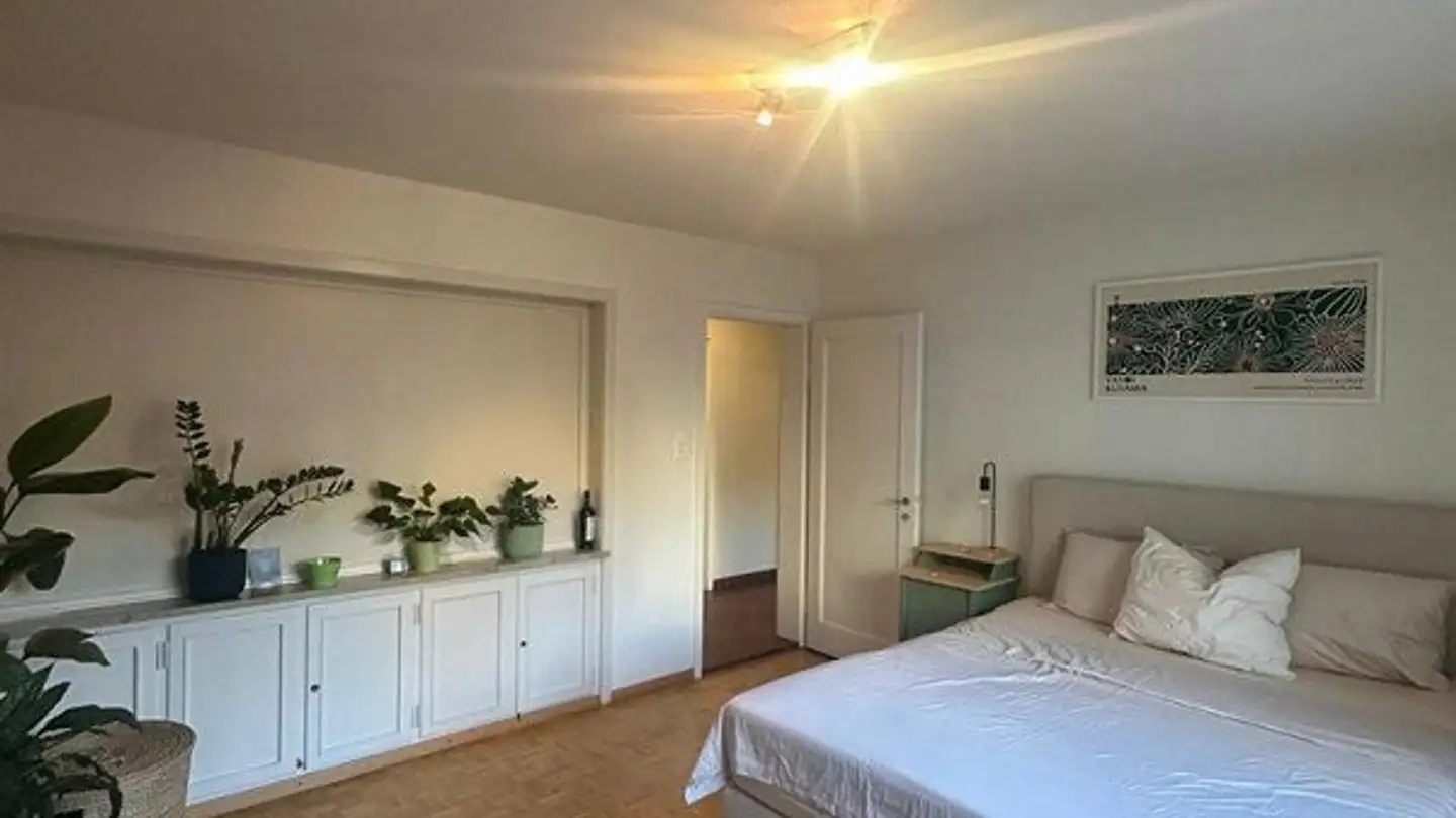 Apartment for rent - Dufourstrasse 117, 8008 Zürich - Photo 4
