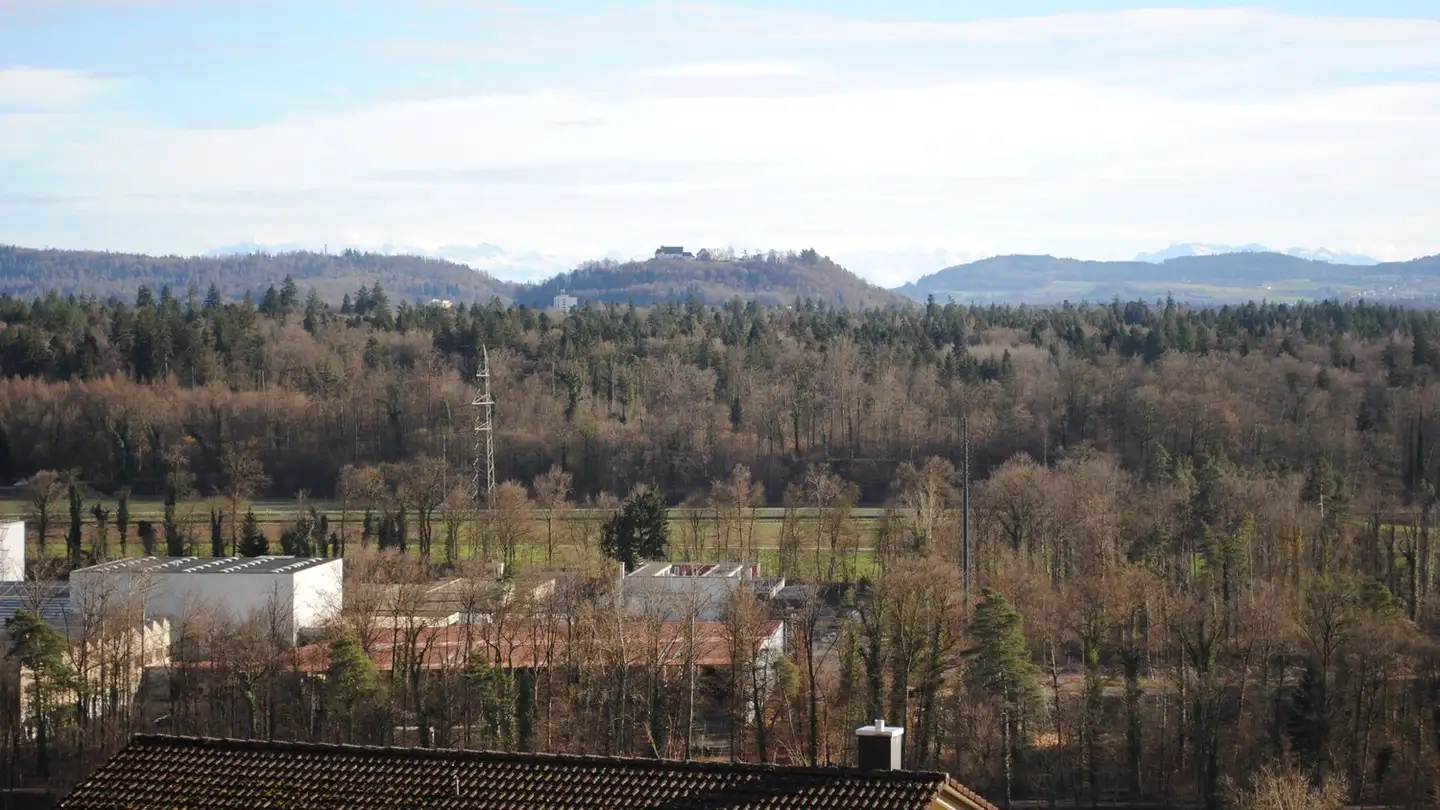 Single house for rent - Panoramastrasse 27, 5105 Auenstein - Photo 3