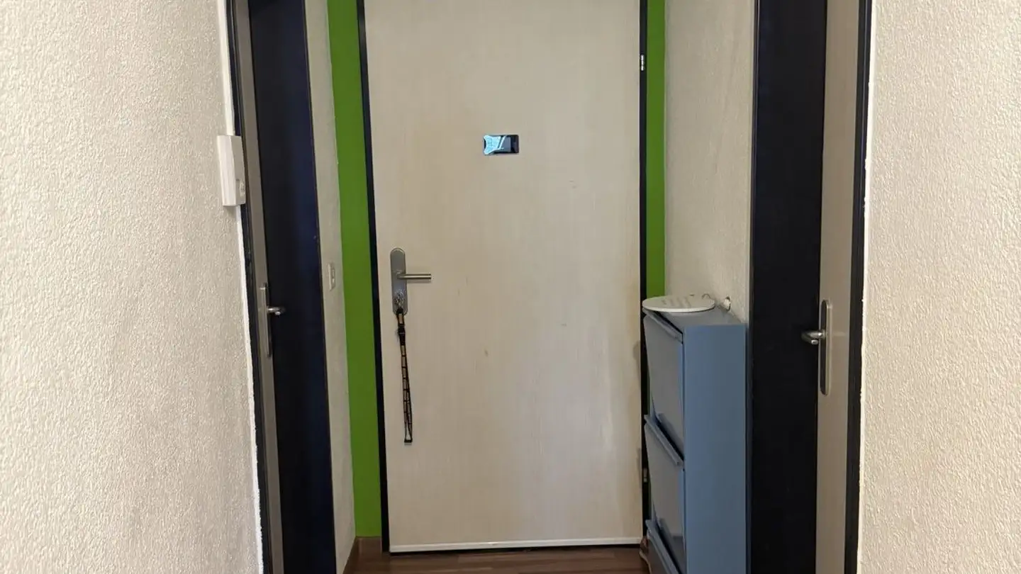 Appartamento in affitto - 6330 Cham - Foto 4