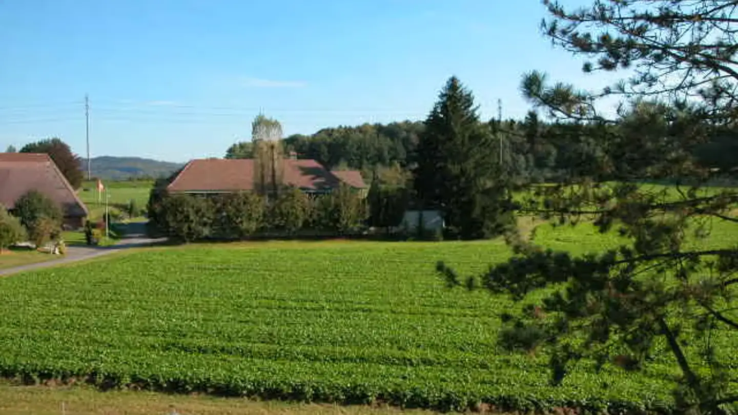 Appartamento in affitto - Katzenbühlstrasse 8, 5742 Kölliken - Foto 2