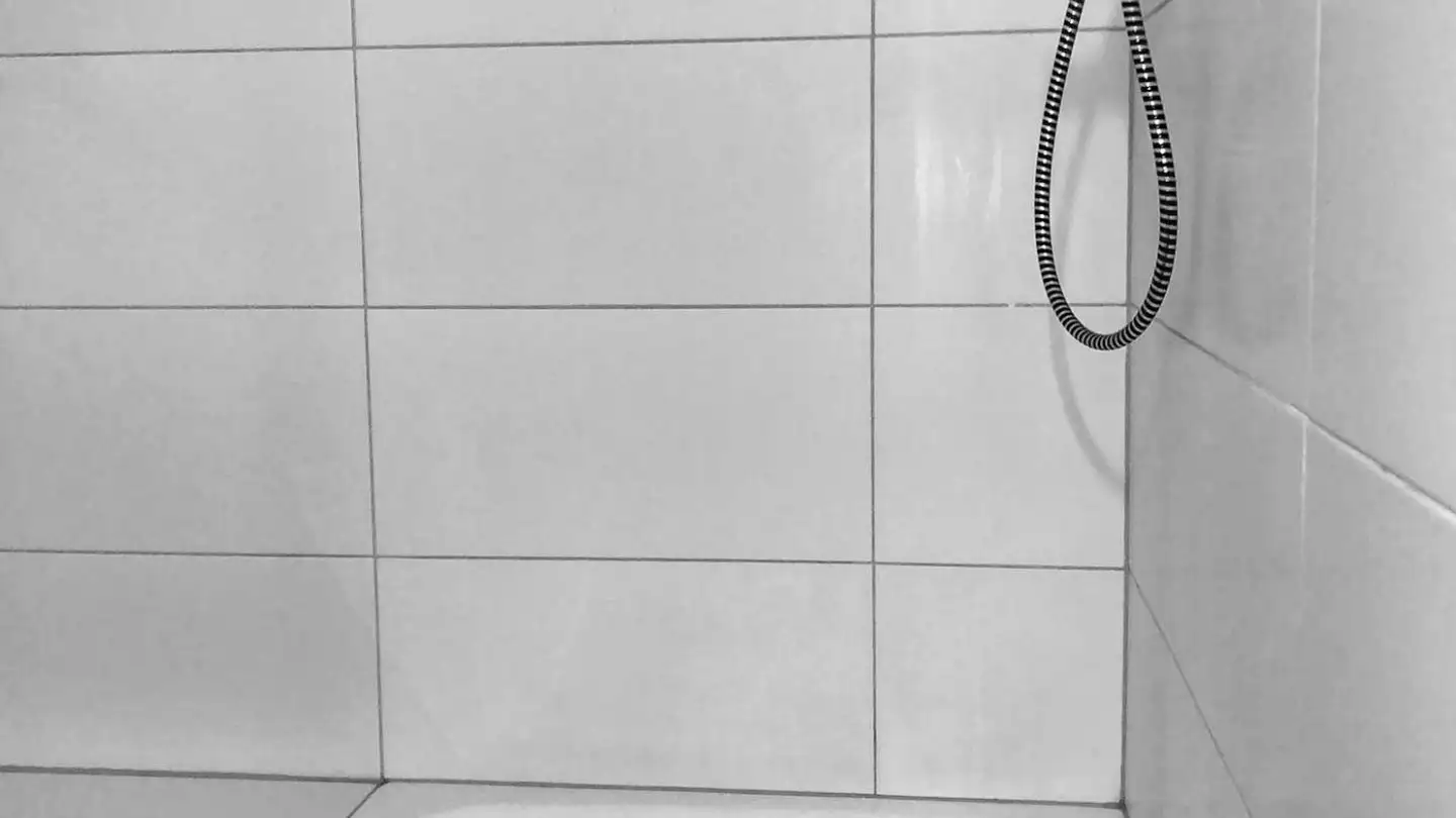 Wohnung mieten - Dorfstrasse 488, 5728 Gontenschwil - Foto 4