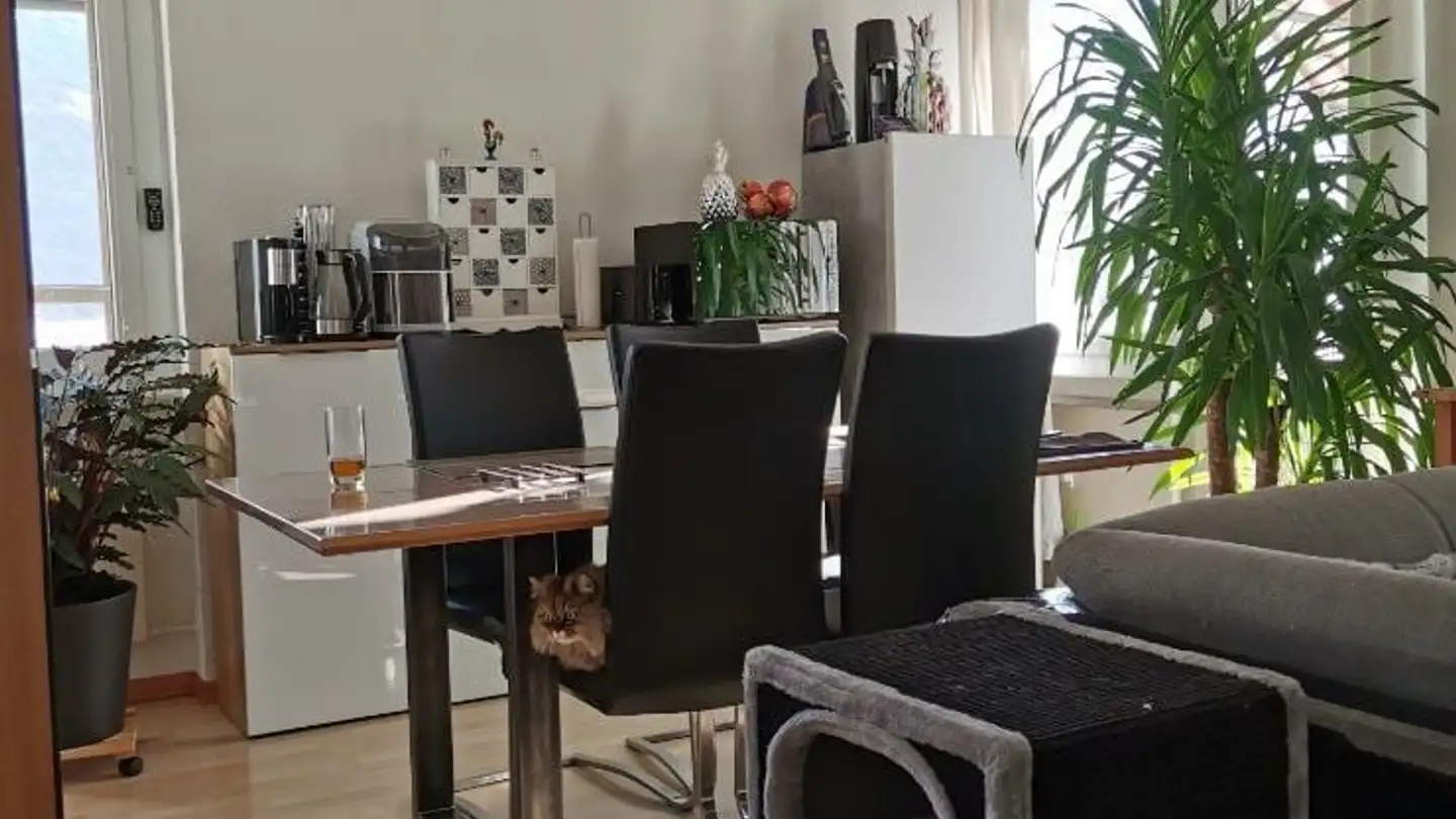 Appartamento in affitto - Im Rossfueter 1, 9475 Sevelen