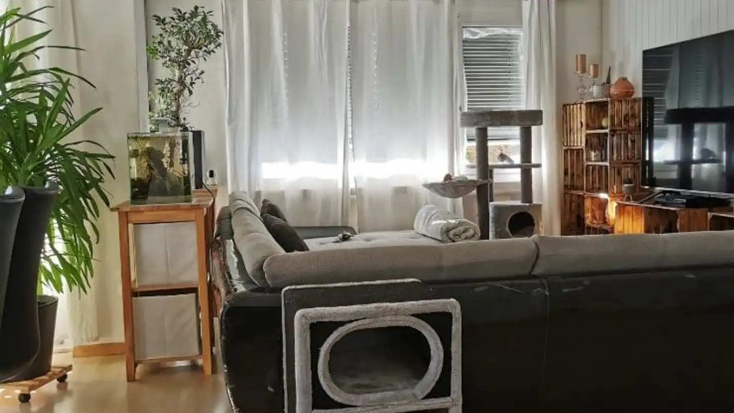 Apartment for rent - Im Rossfueter 1, 9475 Sevelen - Photo 4