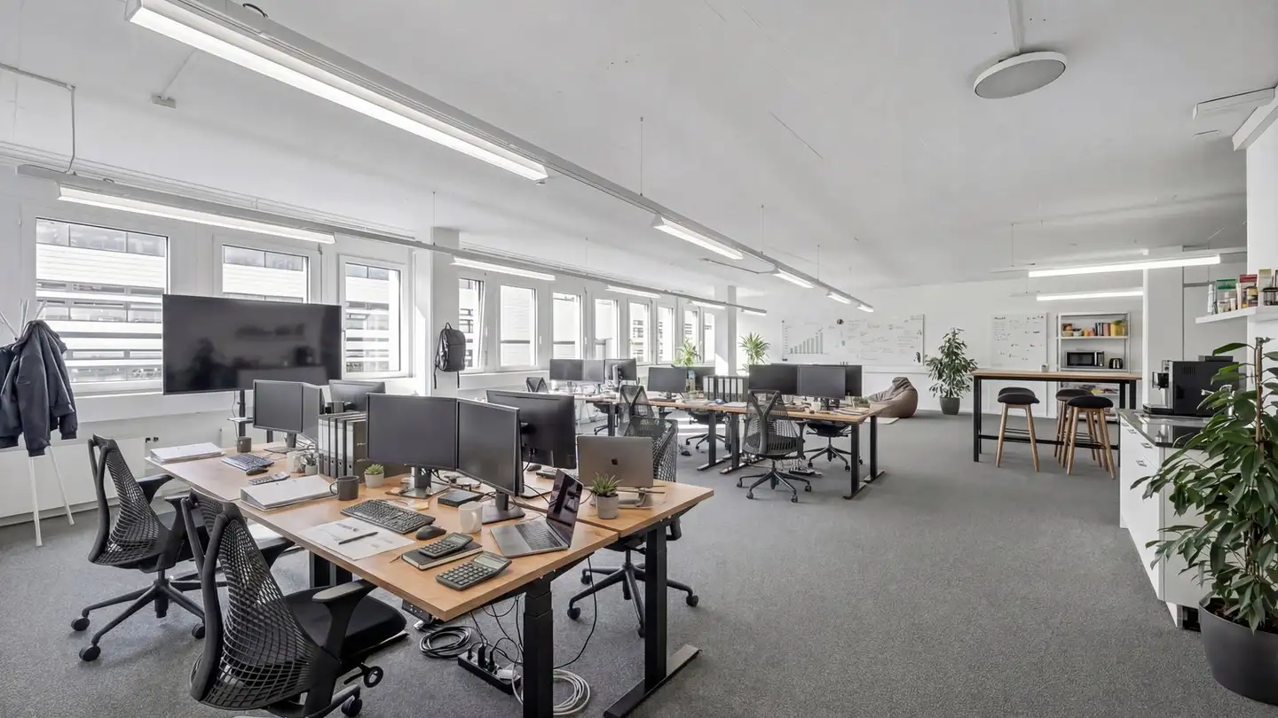 Spazio ufficio in affitto - Christoph Merian-Ring 31, 4153 Reinach BL - Foto 4