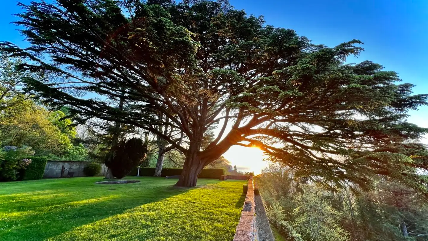 Appartamento in affitto - 2028 Vaumarcus - Foto 3