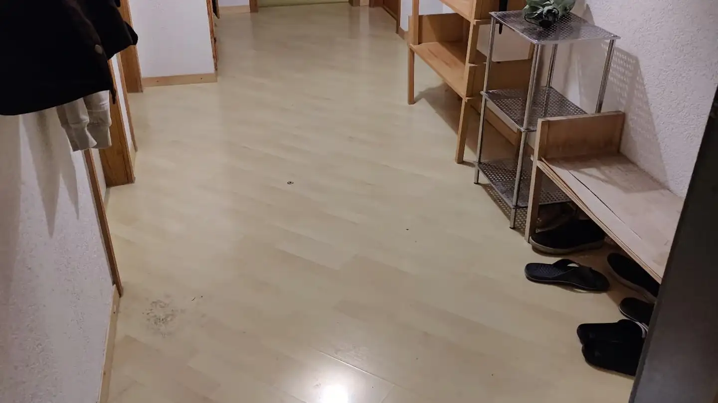 Appartamento in affitto - Zeisigweg 4, 8600 Dübendorf - Foto 3