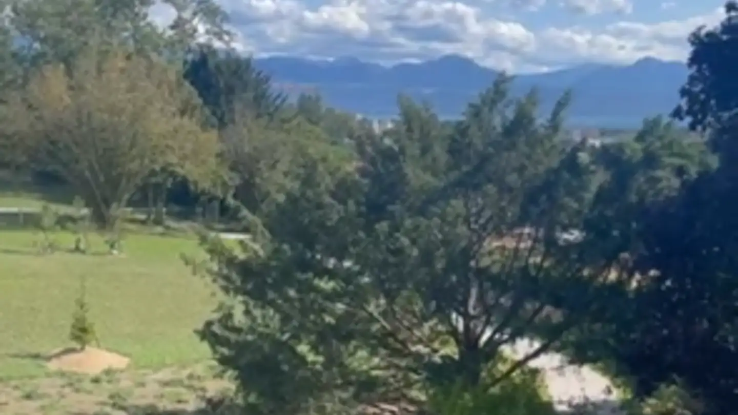 Wohnung mieten - Chemin Du Château 13, 1023 Crissier - Foto 3