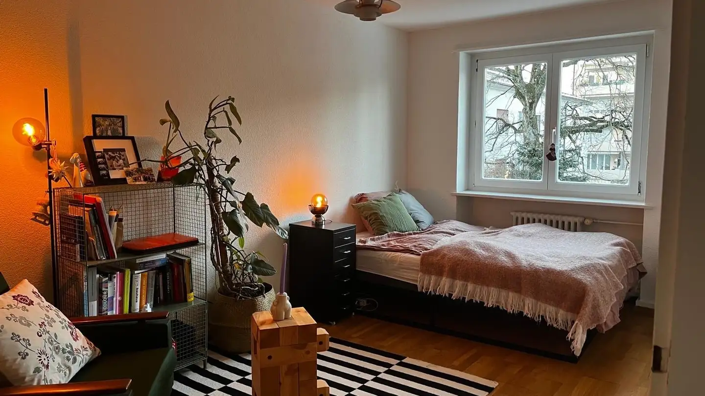 Chambre à louer - Birmensdorferstrasse 364, 8055 Zürich