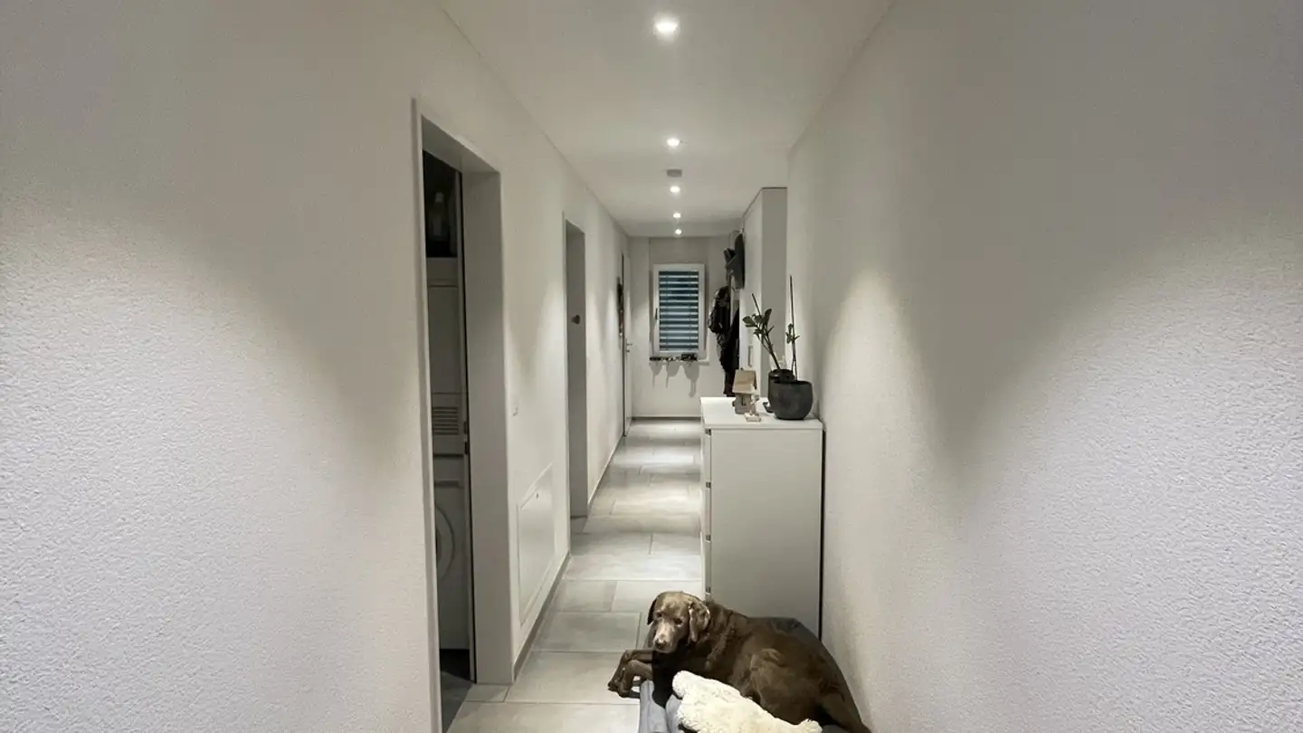 Appartement à louer - Auholzstrasse 25, 8583 Sulgen - Photo 3