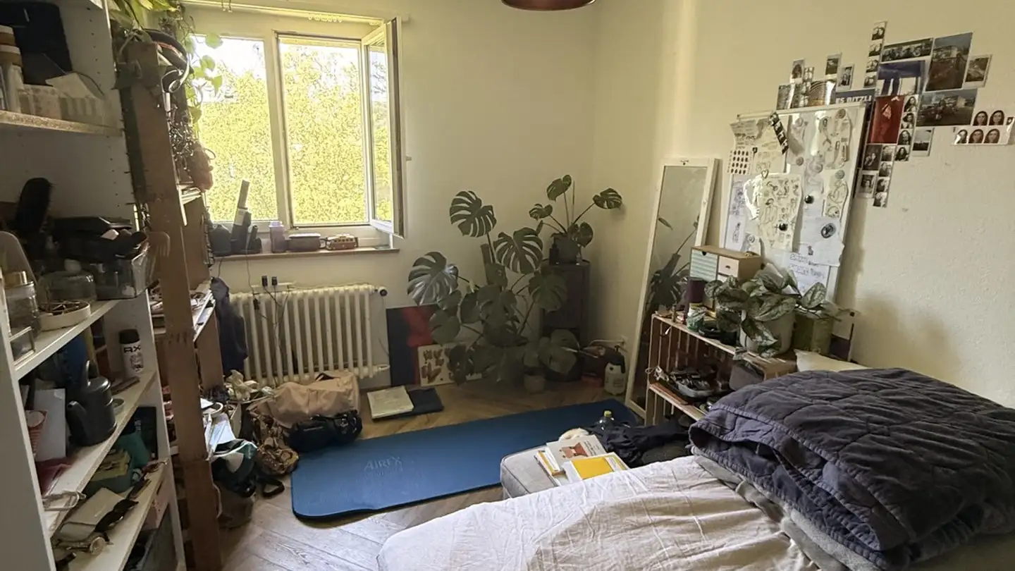 Single room for rent - Wülflingerstrasse 313, 8408 Winterthur - Photo 3