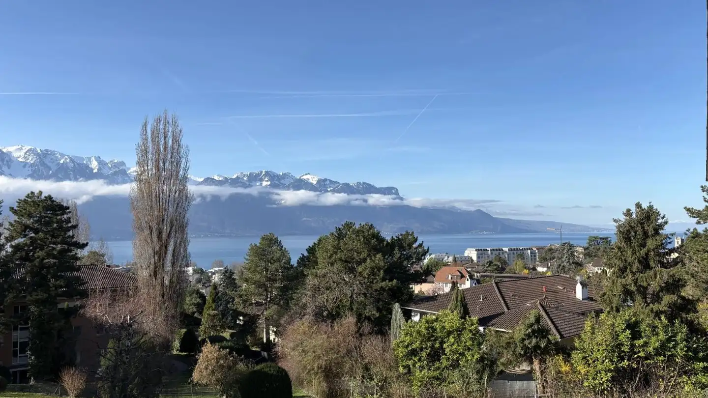 Appartement à louer - Route De Saint-Légier 58, 1800 Vevey