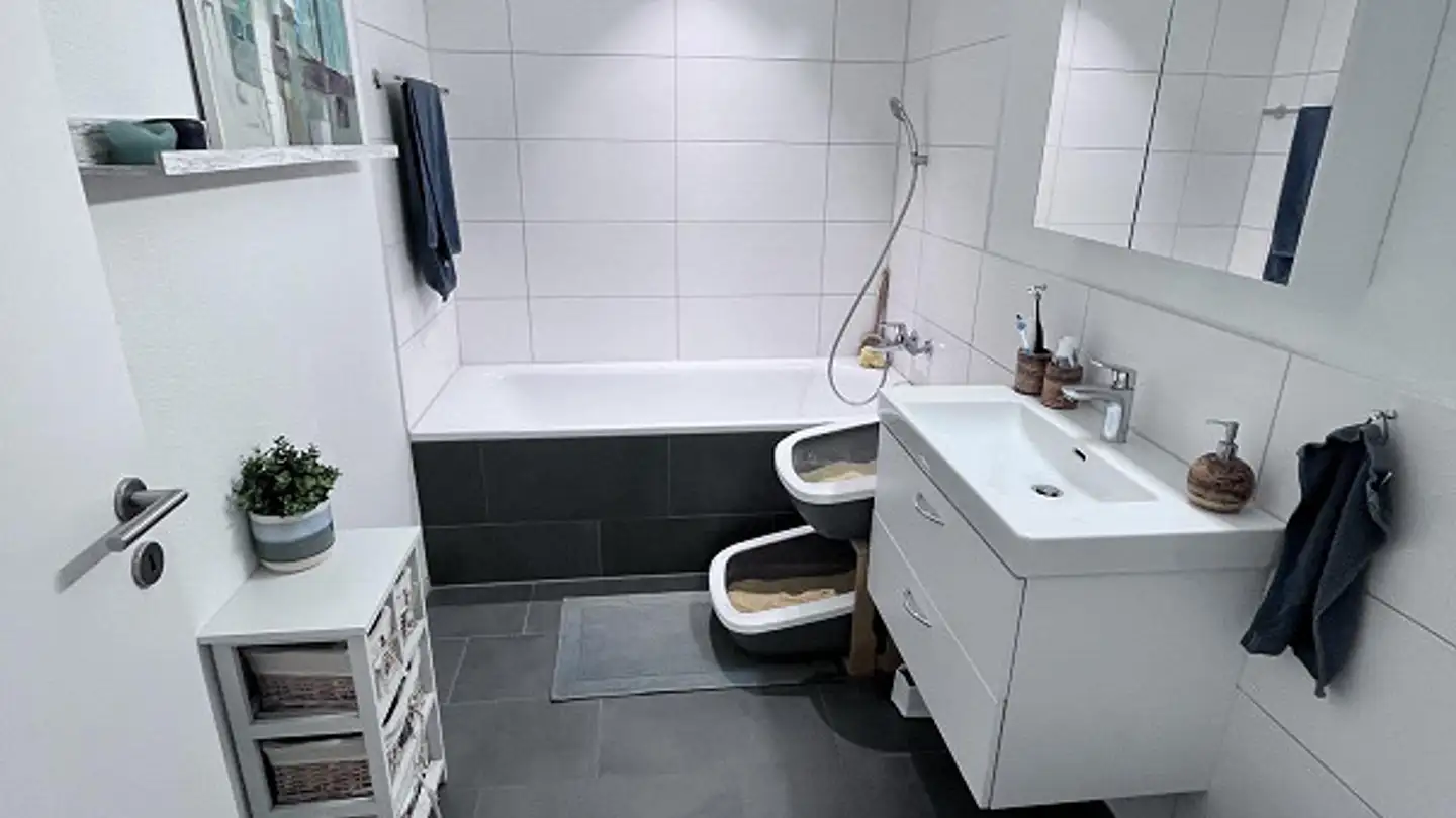 Appartamento in affitto - Hofackerstrasse 3, 8580 Amriswil - Foto 4