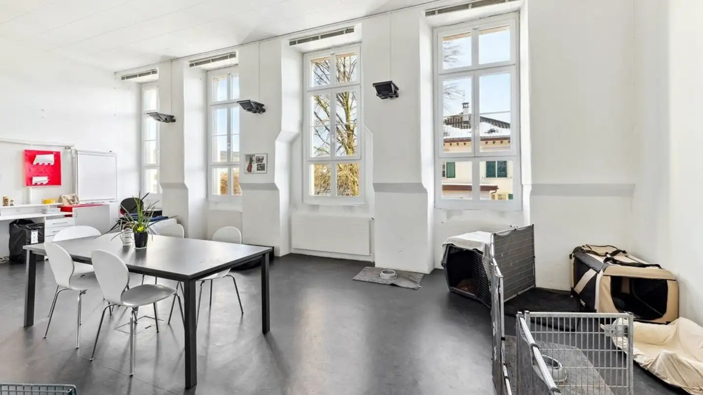 Commercial for rent - Alte Affolterstrasse 1, 8909 Zwillikon