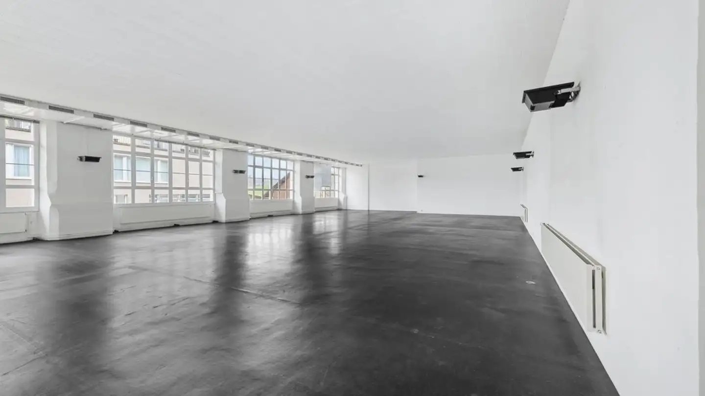 Commercial for rent - Alte Affolterstrasse 1, 8909 Zwillikon - Photo 4