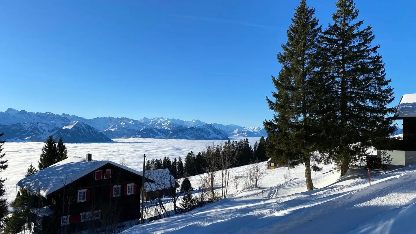 Appartement à louer - Staffelhöheweg 18, 6356 Rigi Kaltbad - Photo 2