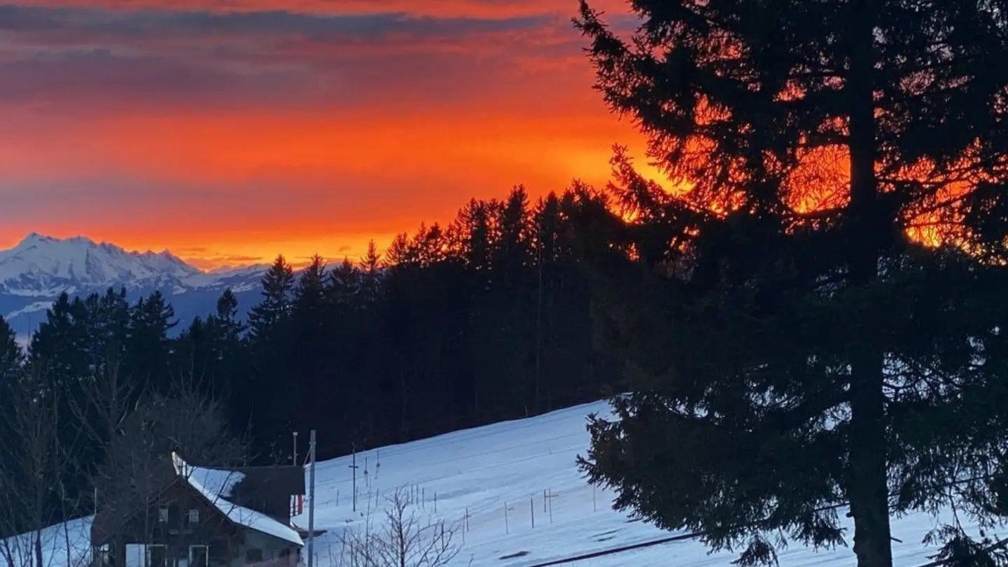 Appartement à louer - Staffelhöheweg 18, 6356 Rigi Kaltbad - Photo 3