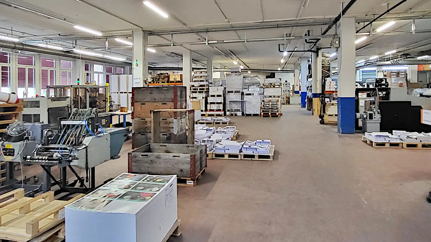 Magasin à louer - Gewerbestrasse 16, 8132 Egg b. Zürich - Photo 2