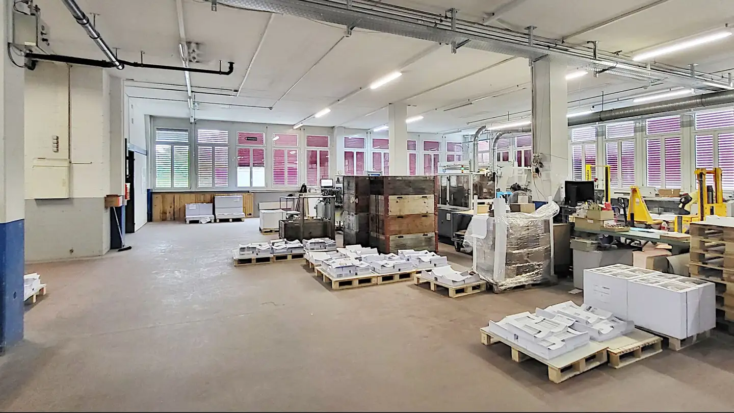 Magasin à louer - Gewerbestrasse 16, 8132 Egg b. Zürich - Photo 3