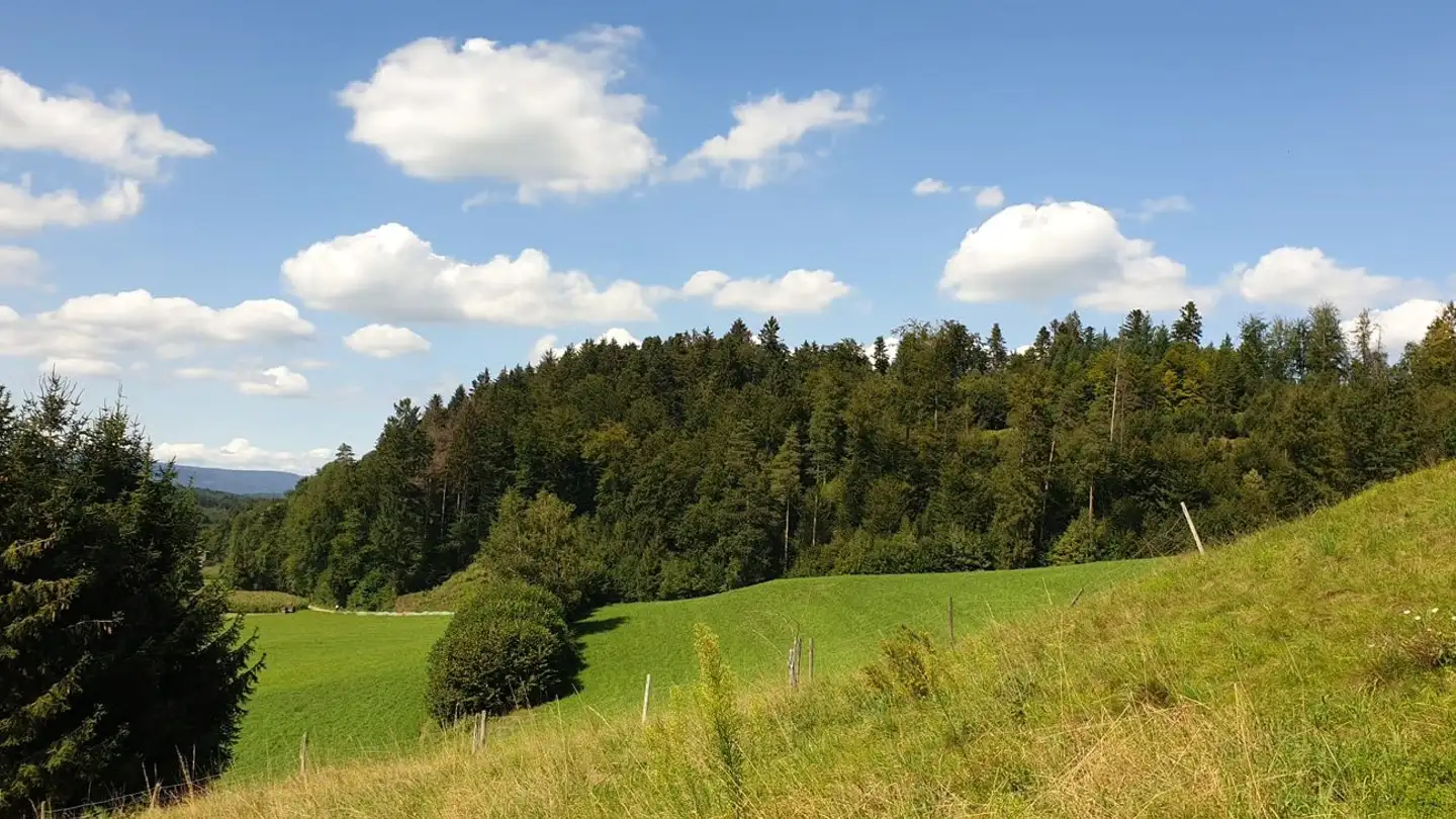Bauland kaufen - Kopfhölzlistrasse 21, 4813 Uerkheim
