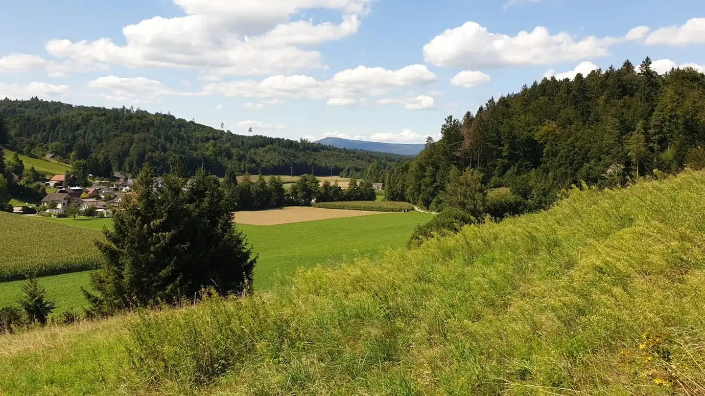 Bauland kaufen - Kopfhölzlistrasse 21, 4813 Uerkheim - Foto 2