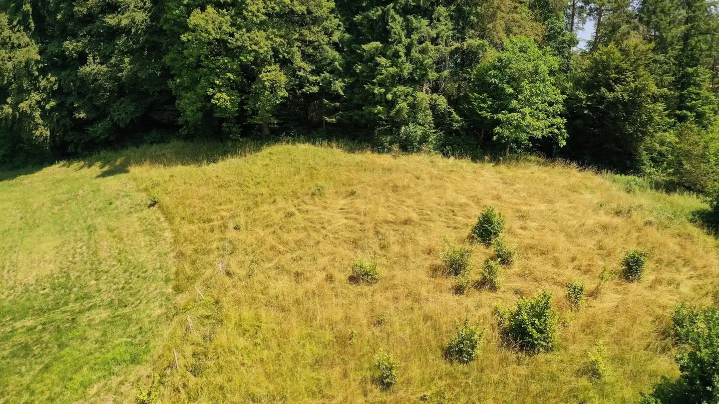 Bauland kaufen - Kopfhölzlistrasse 21, 4813 Uerkheim - Foto 3