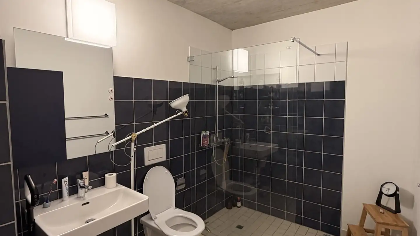 Möblierte Wohnung mieten - 8600 Dübendorf - Foto 3