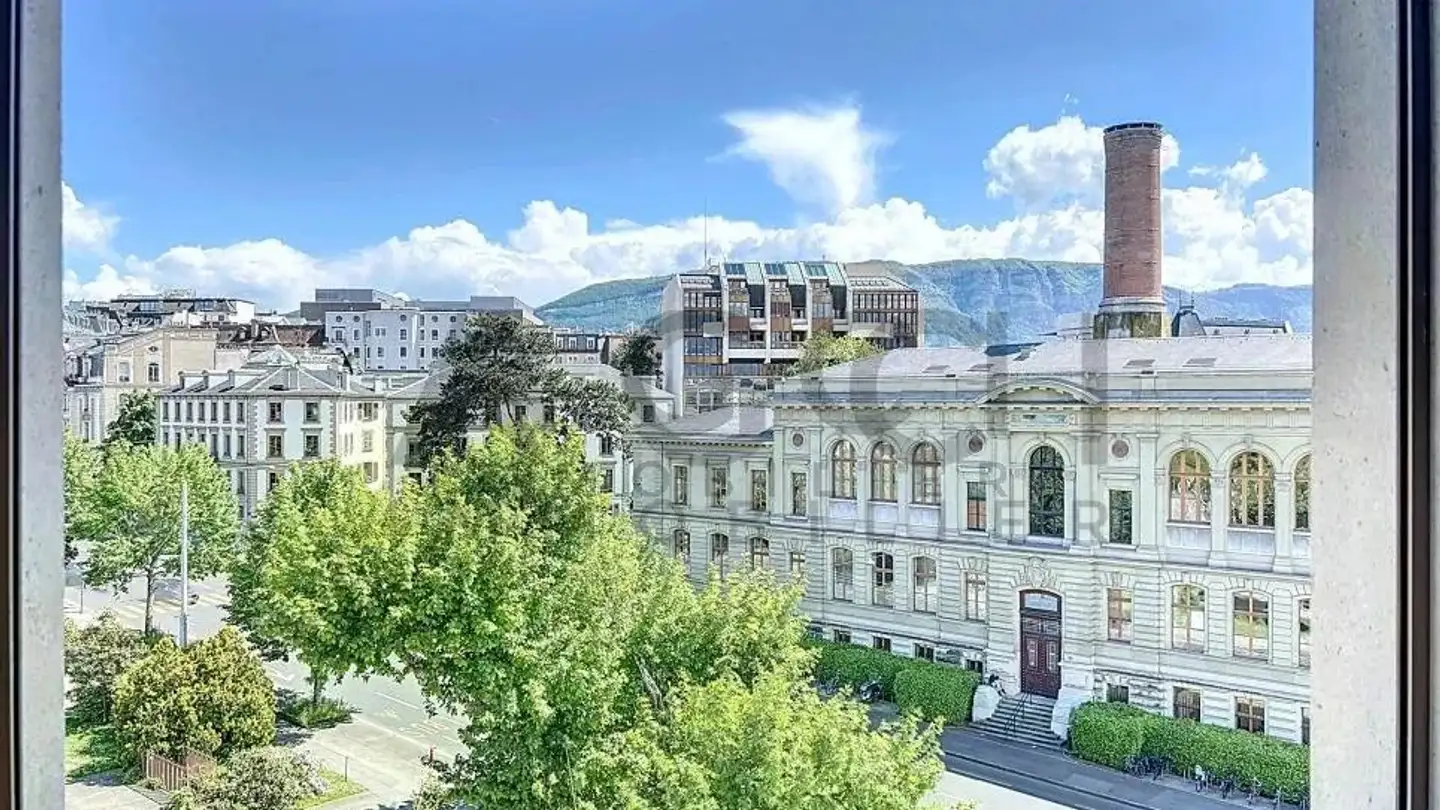 Bureau à louer - 1205 Genève - Photo 2