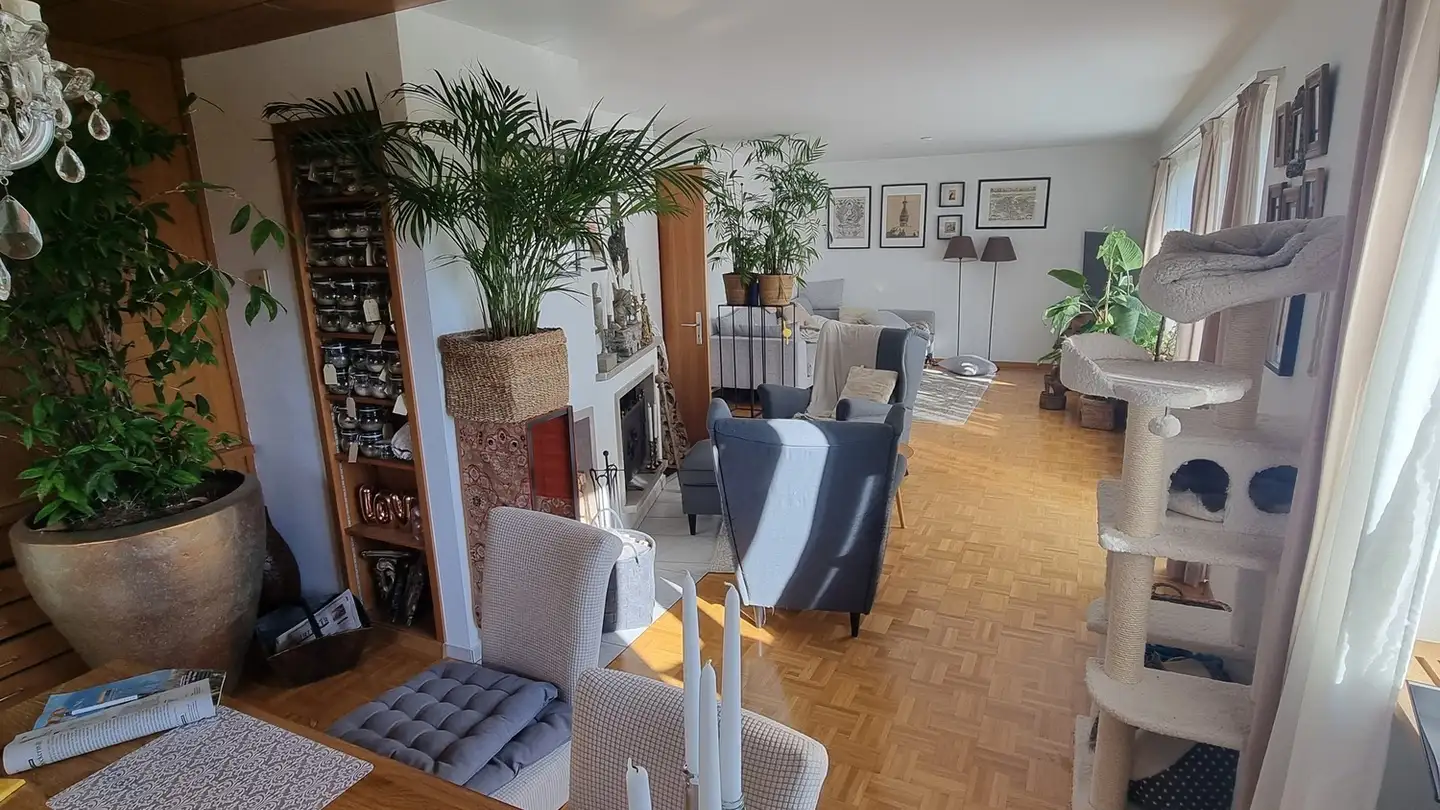 Casa singola in affitto - 8107 Buchs ZH