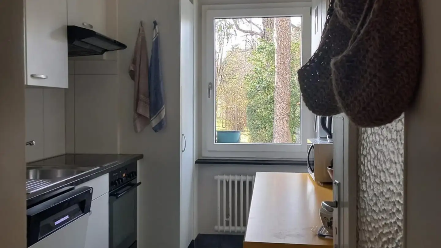 Single room for rent - Chemin De Jolimont 16, 1700 Fribourg - Photo 3