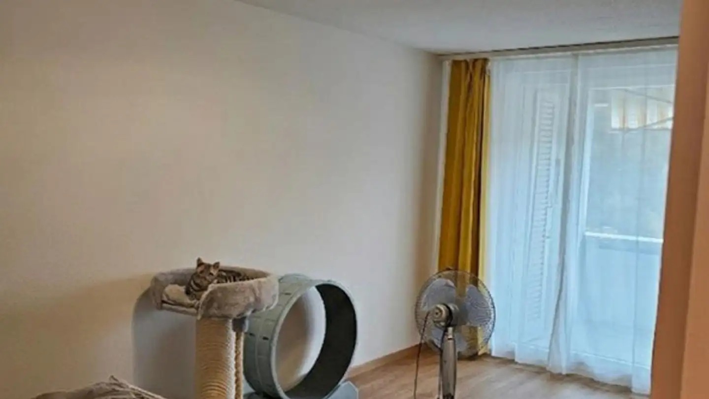 Appartement à louer - General-Guisan-Strasse 31, 5000 Aarau - Photo 3