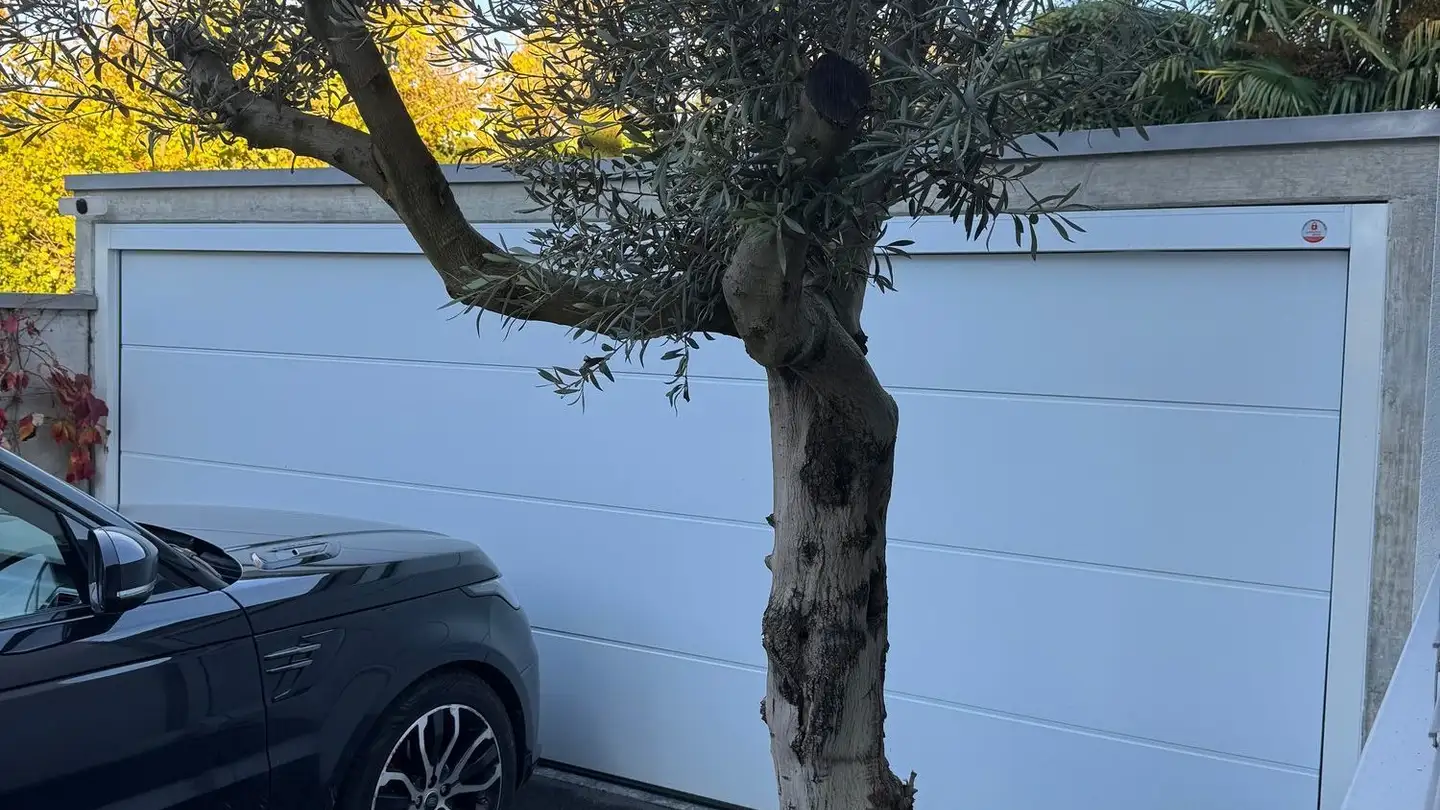 Casa bifamiliare in affitto - 1222 Vésenaz - Photo 2