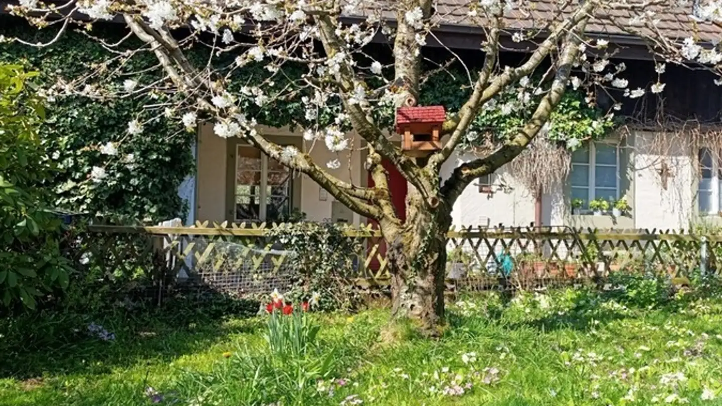 Wohnung mieten - 3074 Muri b. Bern - Foto 2