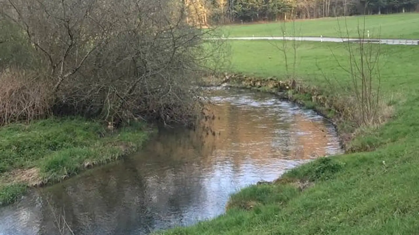 Villa for sale - 2922 Courchavon - Photo 3