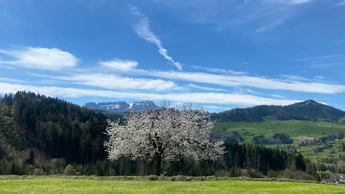 Casa bifamiliare in affitto - Leimensteigstrasse 4, 9054 Haslen AI - Foto 2