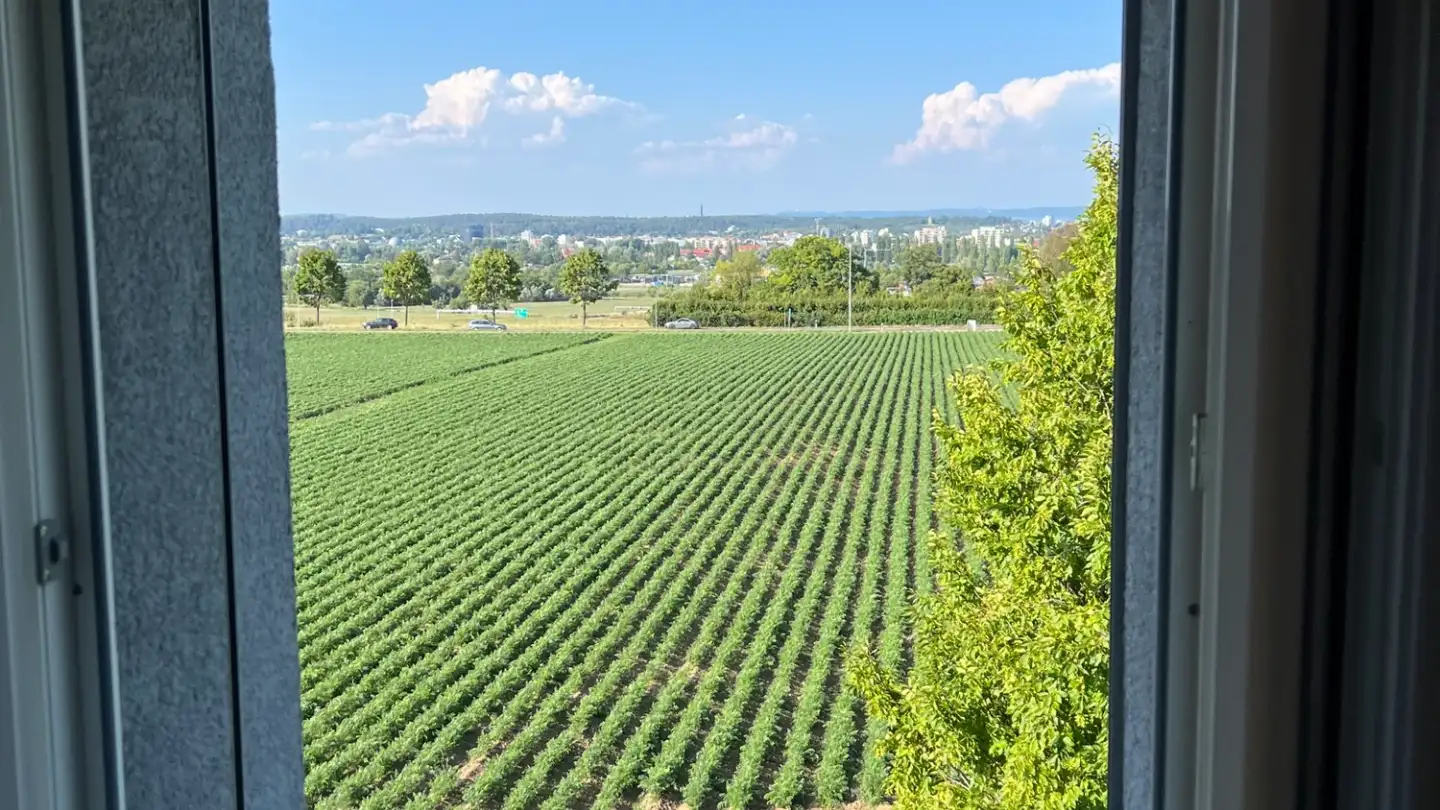 Appartamento in affitto - Ribistrasse 41, 8280 Kreuzlingen - Foto 3
