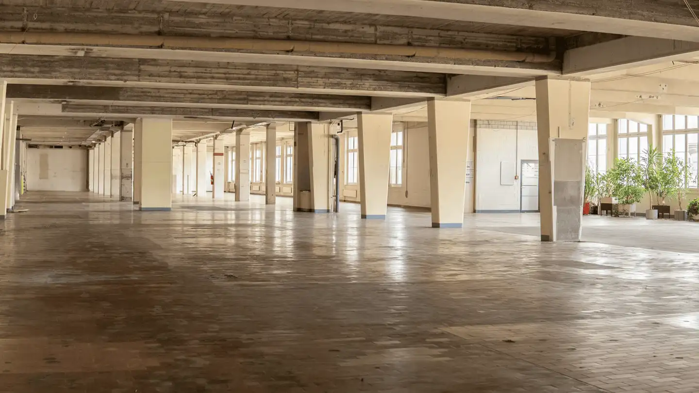Immeuble industriel à louer - Brühlstrasse 5, 4800 Zofingen - Photo 3
