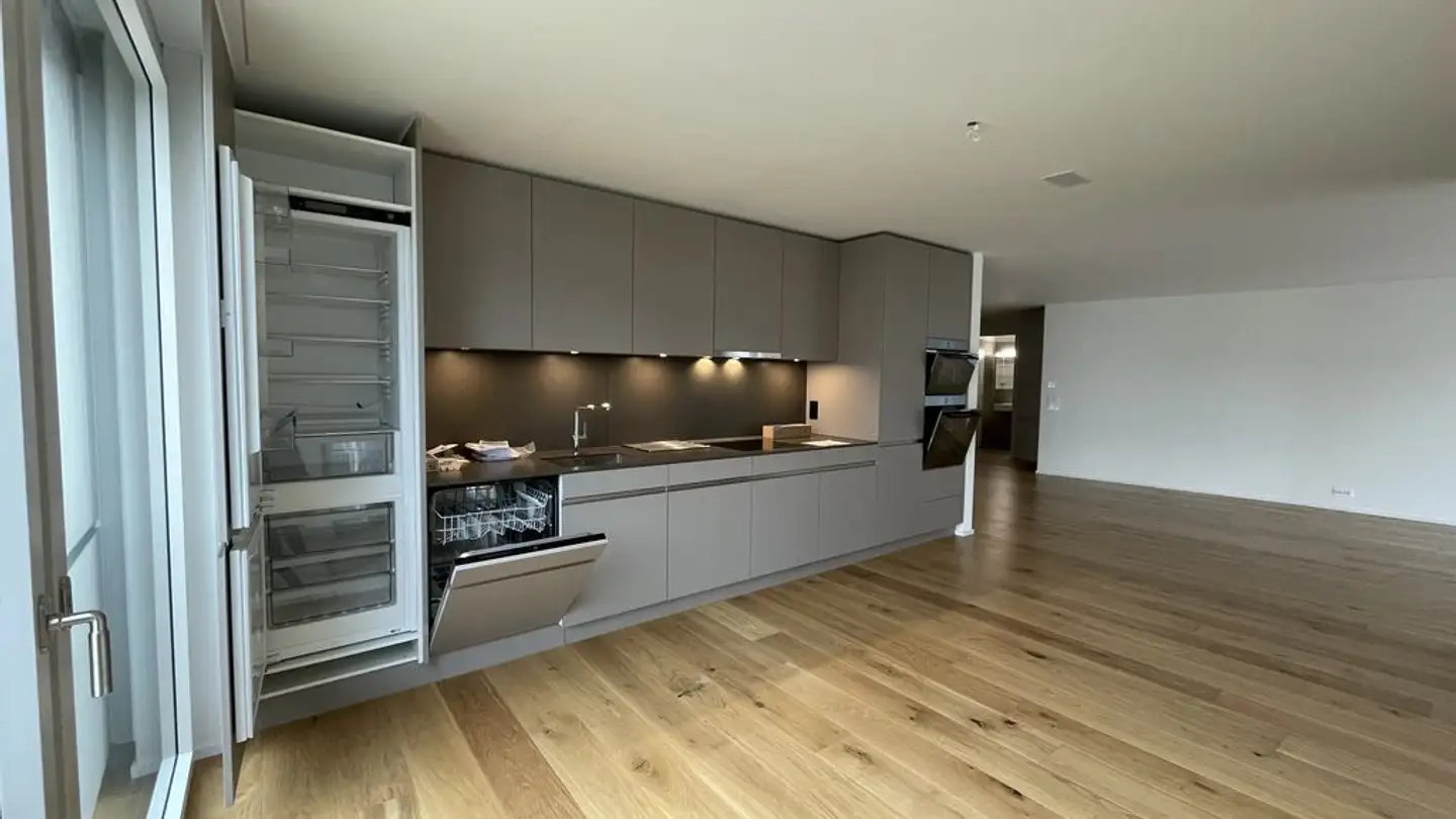 Appartamento in affitto - Trichtenhausenstrasse 80, 8053 Zürich - Foto 2