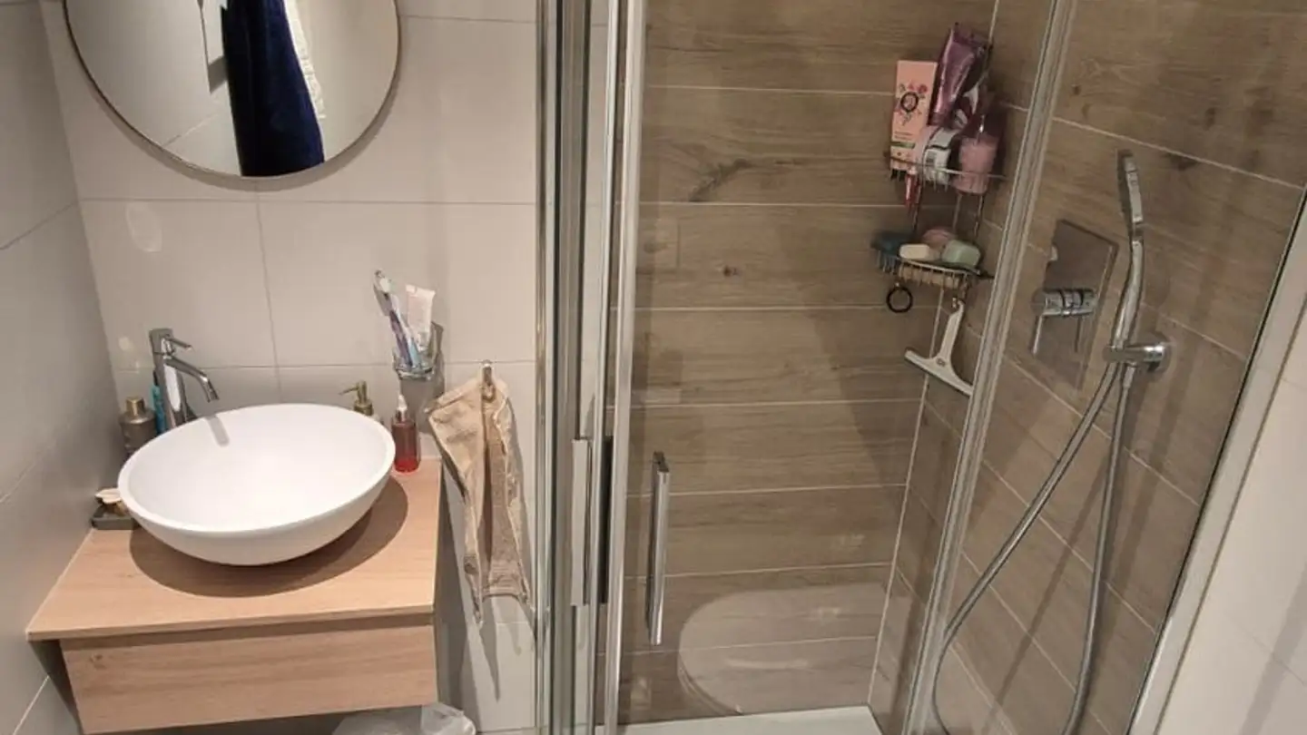 Apartment for rent - Parc Du Loup 1b, 1018 Lausanne - Photo 4