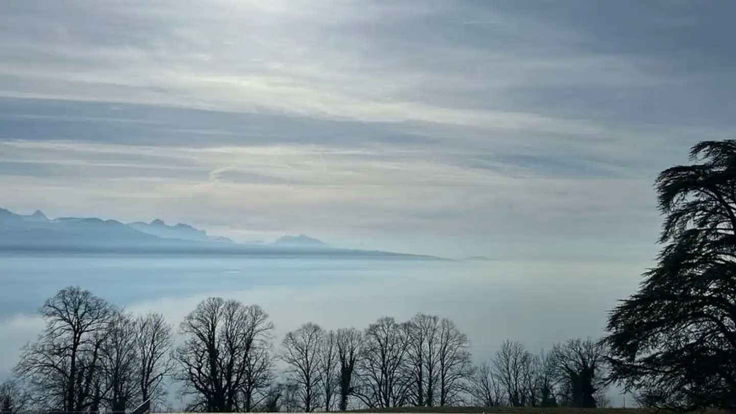 Appartamento in affitto - Chemin du Signal, 1070 Puidoux