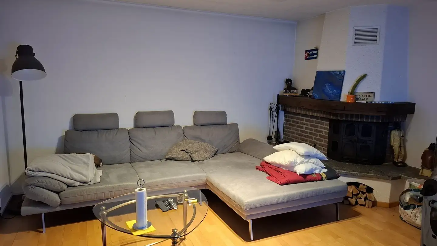 Apartment for rent - 8902 Urdorf