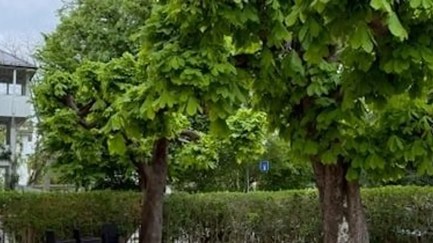 Appartamento in affitto - Löwenstrasse 16, 8400 Winterthur - Foto 3