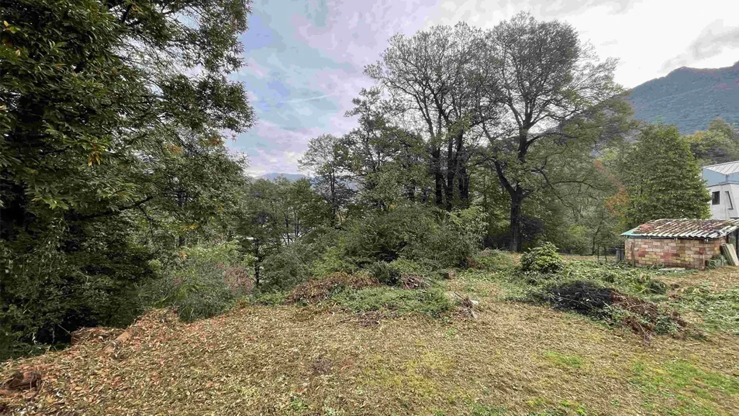 Terreno edificabile commerciale in vendita - 6952 Canobbio - Photo 2