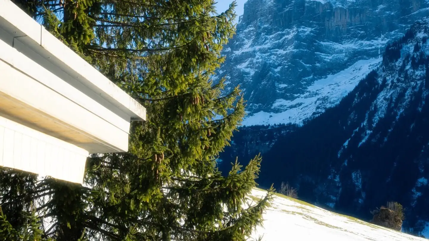 Single room for rent - 6390 Engelberg - Photo 3