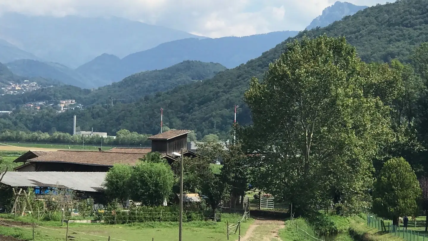 Wohnung kaufen - Vicolo Vecchio, 6900 Massagno - Foto 2