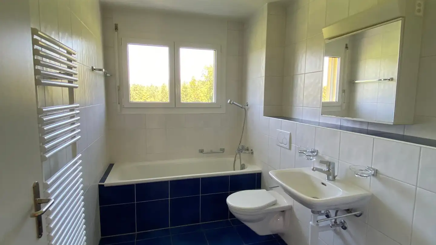 Apartment for rent - Chemin Des Bois 6, 1607 Palézieux-Village - Photo 3